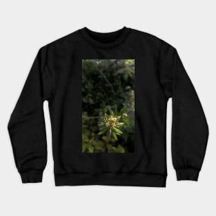 Green wild plant photography Crewneck Sweatshirt